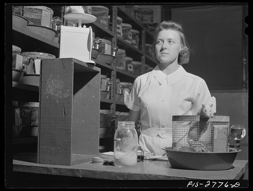 Untitled photo, possibly related to: Conducting diet and nutrition experiments on rats in the animal laboratory of the home economics department at Iowa State College. Ames, Iowa