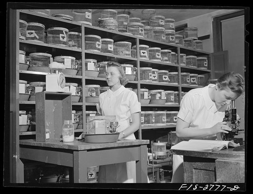 Conducting diet and nutrition experience on rats in the animal lab of the home economics department at Iowa State College. Ames, Iowa