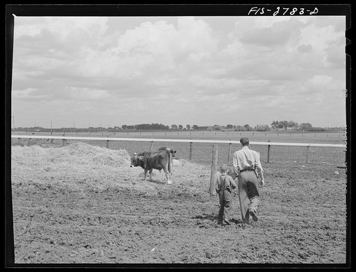 Untitled photo, possibly related to: Youngest brother, Tom, takes Gene on a tour of the farm. Vicinity of Ames, Iowa