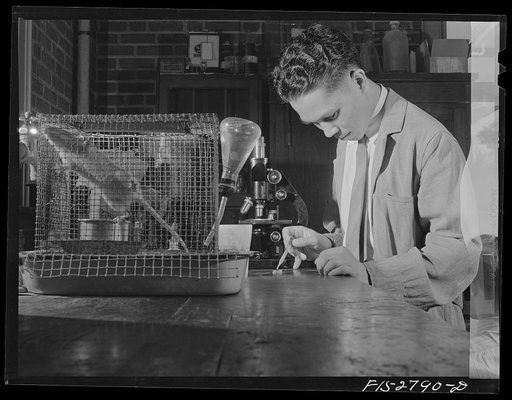 An elementary science class at Iowa State University. Ames, Iowa