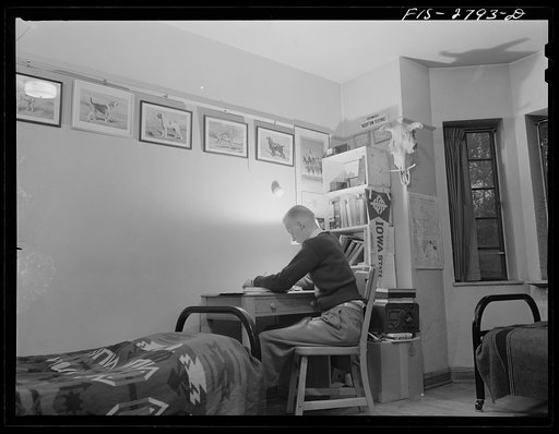 Dick Lundvall of Boxholm, Iowa. Student of veterinary medicine, preparing for exams. Iowa State College. Ames, Iowa