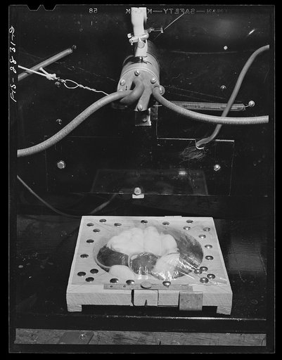 X-raying mice as part of work on disease resistance in the genetics laboratory at Iowa State College. Ames, Iowa