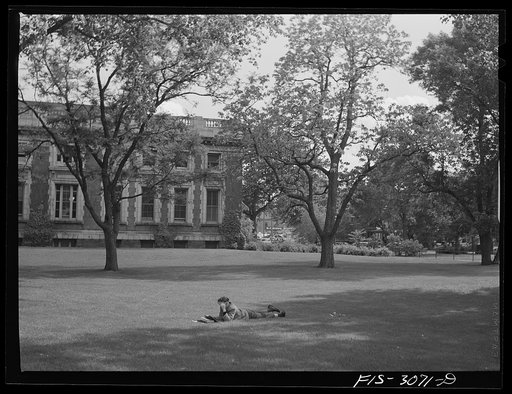 Undergraduate studying for an examination. University of Nebraska, Lincoln