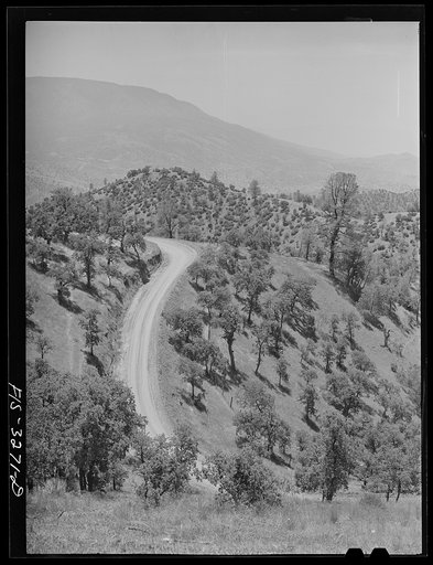 Kern County, California. Road through the hilly country