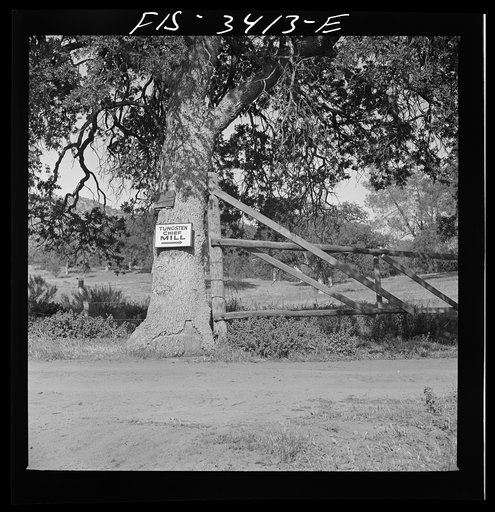 Untitled photo, possibly related to: Kern County, California. Mill of the Tungsten Chief Mine. Sign
