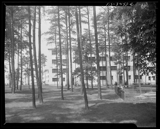 Greenbelt, Maryland. Apartment house seen through trees. Federal housing project. In the right foreground is an enclosed community sandpile for young children