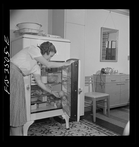 Greenbelt, Maryland. Federal housing project. Mrs. Leslie Atkins taking an orange out of her well-stocked refrigerator