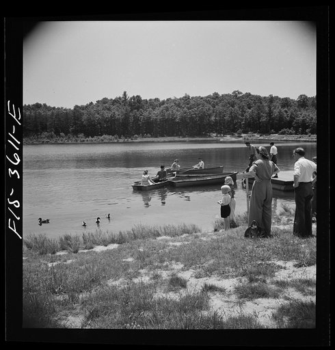 Untitled photo, possibly related to: Greenbelt, Maryland. Feeding the ducks and boating on the artificial lake. No fishing or swimming is allowed