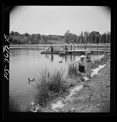 Greenbelt, Maryland. Feeding the ducks and boating on the artificial lake. No fishing or swimming is allowed