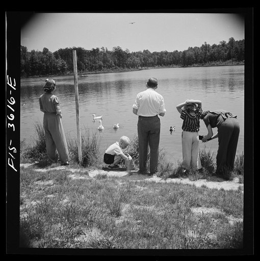 Greenbelt, Maryland. Mother photographing her son feeding ducks by the artificial lake while the rest of the family looks on