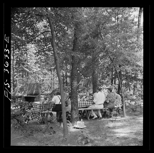 Untitled photo, possibly related to: Greenbelt, Maryland. Party for Mrs. Taylor's eighty third birthday, attended by her children and grandchildren, on the grounds of the home of her son-in-law, Dr. McCarl