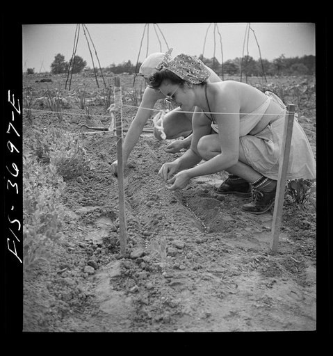 Untitled photo, possibly related to: Greenbelt, Maryland