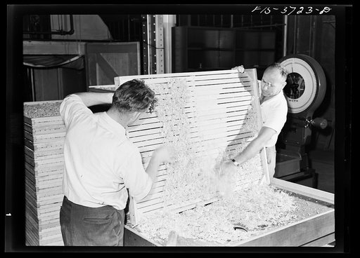 Emptying dehydrated cabbage into hopper. Western regional agricultural research laboratory. Albany, California