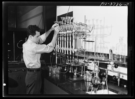 G.F. Bailey, scientific aide, at work on carotene test of dehydrated vegetables at the regional agricultural research laboratory. Albany, California