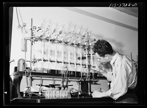 G.F. Bailey, scientific aid, at work on carotene test of dehydrated vegetables at the regional agricultural research laboratory. Albany, California