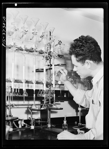 G.F. Bailey, scientific aide, at work on carotene test of dehydrated vegetables at the regional agricultural research laboratory. Albany, California