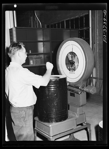 Accurate weight is recorded of the dehydrated vegetables in determining the degree of dehydration. Regional agricultural research laboratory, Albany, California