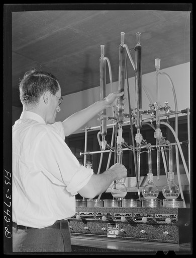 L.R. Leinbach, associate chemist, assembles the apparatus used in determining moisture content of dehydrated vegetables at the regional agricultural research laboratory. Albany, California