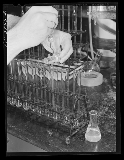 Drawing off solutions into test tubes in micro-biological determination of vitamins in dehydrated vegetables. Regional agricultural research laboratory, Albany, California