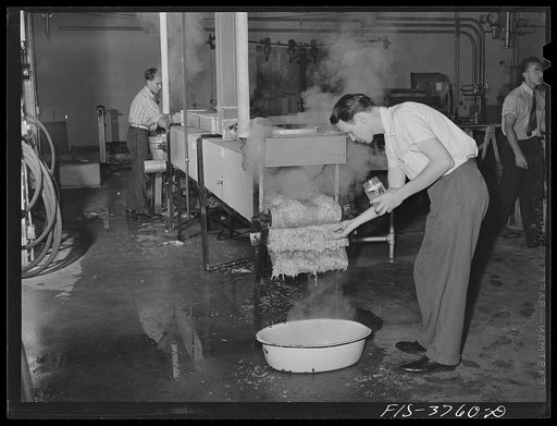 Albany, California. At the Department of Agriculture regional research laboratory a worker is taking a sample of chopped blanched cabbage. Before dehydration, vegetables are processed various ways, a quick steam bath is one of these ways. By laboratory tests it is determined which processing method 