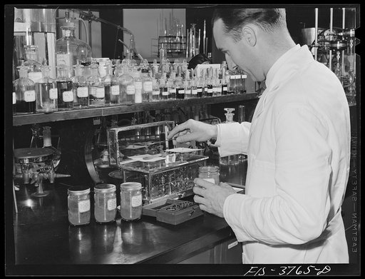 Dr. G.I. Jones, associate chemist, weighs sample of dehydrated vegetable for vitamin B complex determination test. Regional agricultural research laboratory, Albany, California