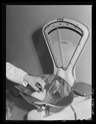 Weighing white rat as part of procedure in bio-assay method of determining vitamin content of dehydrated eggs. Regional agricultural research laboratory, Albany, California