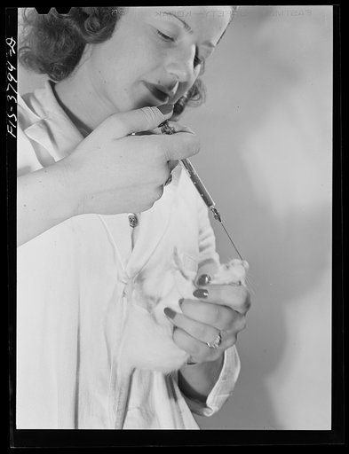 Untitled photo, possibly related to: Feeding white rat with vitamin-rich solution from dehydrated eggs; this is part of procedure in bio-assay method of determining vitamin content of dehydrated eggs. Regional agricultural research laboratory, Albany, California