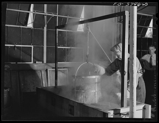 Removing cabbage from vat where it is precooked for dehydration. Regional agricultural research laboratory, Albany, California. This is one of the several methods being tested for precooking