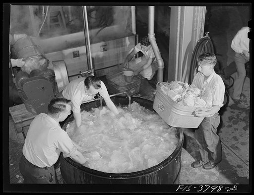 Washing cabbage which will be dehydrated. Regional agricultural research laboratory, Albany, California