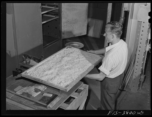 Weighing dehydrated potatoes to determine rate of dehydration degree. Regional agricultural research laboratory, Albany, California