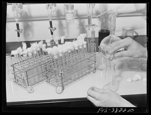 Untitled photo, possibly related to: Pouring sample to be used in microbiological titration of vitamins in dehydrated vegetables. Regional agricultural research laboratory, Albany, California
