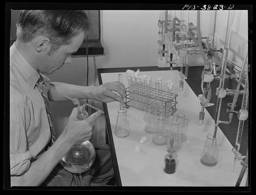 Dr. J.C. Lewis, assistant chemist, pours sample to be used in microbiological titration of vitamins in dehydrated vegetables. Regional agricultural research laboratory, Albany, California