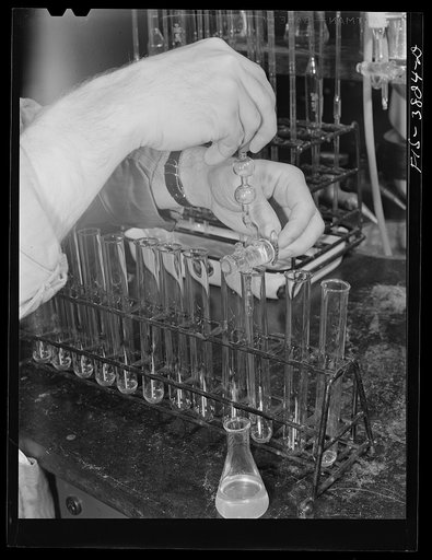 Drawing off a sample to be titrated for vitamin content. Regional agricultural research laboratory, Albany, California