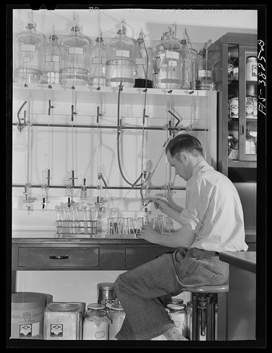 Dr. J.C. Lewis, assistant chemist, conducts microbiological titration of vitamins in dehydrated vegetables. Regional agricultural research laboratory, Albany, California