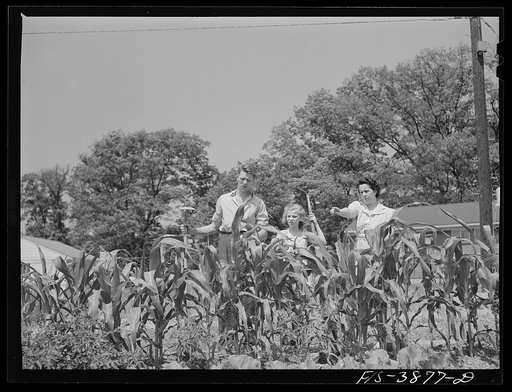 Untitled photo, possibly related to: Sheffield, Alabama (Tennessee Valley Authority (TVA)). Kenneth C. Hall and family discuss their victory garden