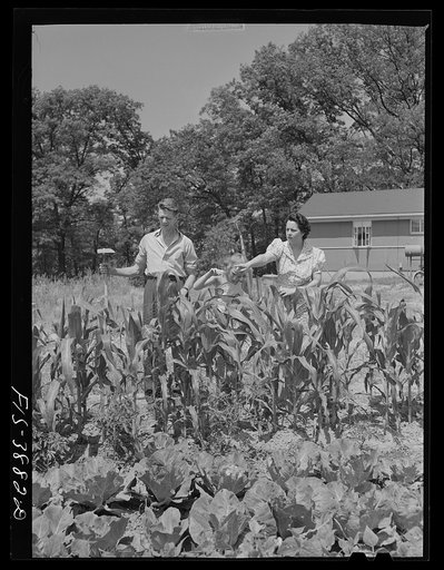 Untitled photo, possibly related to: Sheffield, Alabama (Tennessee Valley Authority (TVA)). Kenneth C. Hall and family discuss their victory garden