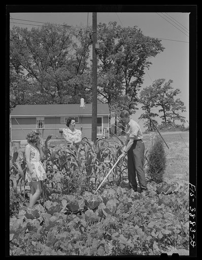 Untitled photo, possibly related to: Sheffield, Alabama (Tennessee Valley Authority (TVA)). Kenneth C. Hall and family discuss their victory garden