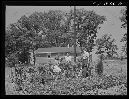 Untitled photo, possibly related to: Sheffield, Alabama (Tennessee Valley Authority (TVA)). Kenneth C. Hall and family discuss their victory garden