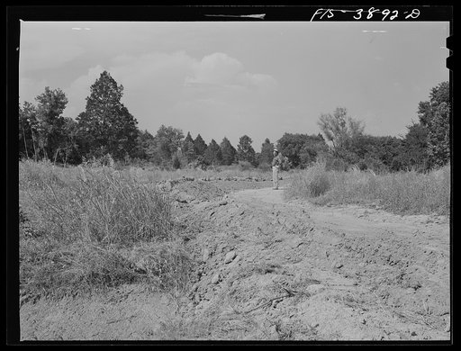 Untitled photo, possibly related to: Lauderdale County, Alabama. Tennessee Valley Authority (TVA). Julien H. Case inspecting a terrace. Sharecropper's house in the background