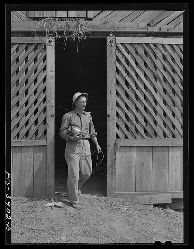 Lauderdale County, Alabama. Tennessee Valley Authority (TVA). Julien H. Case using a portable electric motor for his farm chores
