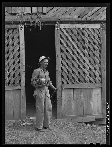 Untitled photo, possibly related to: Lauderdale County, Alabama. Tennessee Valley Authority (TVA). Julien H. Case using a portable electric motor for his farm chores