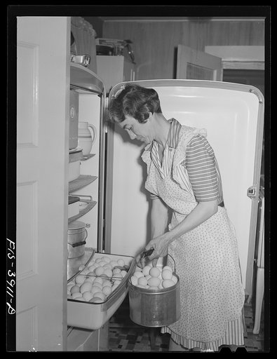 Lauderdale County, Alabama. Tennessee Valley Authority (TVA). An electric refrigerator helps Mrs. Case keep eggs fresh