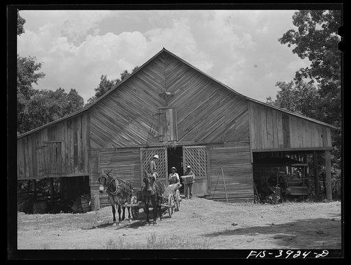 Untitled photo, possibly related to: Lauderdale County, Alabama. Tennessee Valley Authority (TVA). Julien H. Case's farmhands load T VA superphosphate fertilizer. Case uses it to improve the soil on his 500 acre farm