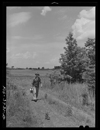 Untitled photo, possibly related to: Lauderdale County, Alabama. Tennessee Valley Authority (TVA). Julien H. Case makes full use of scientific methods on his farm. Here he is making a soil test