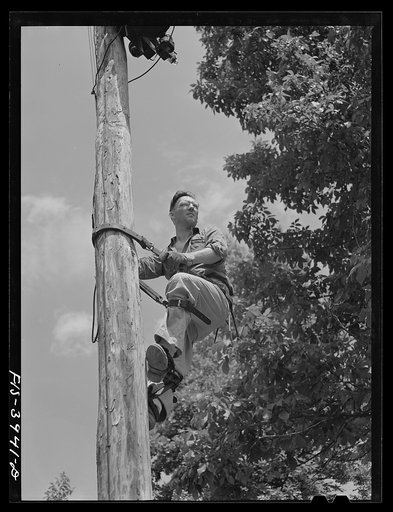 Untitled photo, possibly related to: Lauderdale County, Alabama. Tennessee Valley Authority (TVA). Julien H. Case fixing the transformer on his farm
