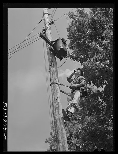 Untitled photo, possibly related to: Lauderdale County, Alabama. Tennessee Valley Authority (TVA). Julien H. Case repairing the transformer which brings TVA electricity to his farm. Case uses 900 kilowatt hours each month