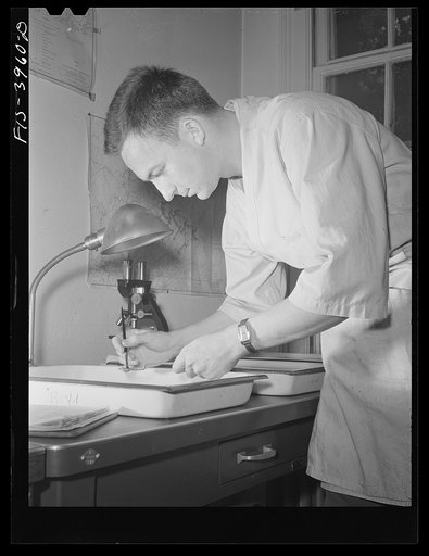 Wilson Dam, Alabama (Tennessee Valley Authority (TVA)). Testing insecticide for malaria-carrying mosquito at malaria control laboratory