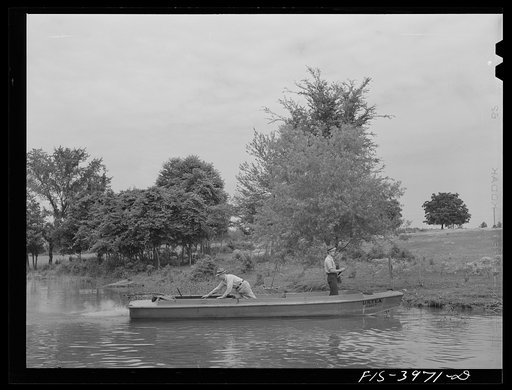 Untitled photo, possibly related to: Tennessee River, Alabama (Tennessee Valley Authority (TVA)). Spraying the banks of the Tennessee River to destroy mosquitoes which carry malaria