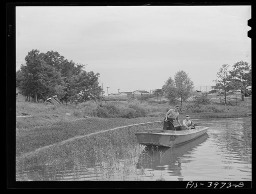 Tennessee River, Alabama (Tennessee Valley Authority (TVA)). Spraying the banks of the Tennessee River to destroy mosquitoes which carry malaria
