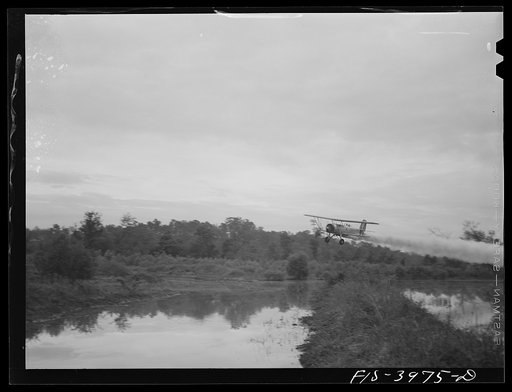 Tennessee River, Alabama (Tennessee Valley Authority (TVA)). At dawn, plane spreads insecticide on Tennessee River to destroy malaria-carrying mosquitoes